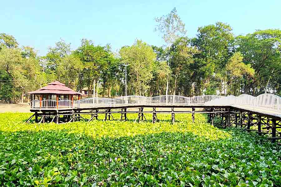 Garh Mandaran: Historic Picnic Spot near Kamarpukur & Jayrambati – Travel Guide
